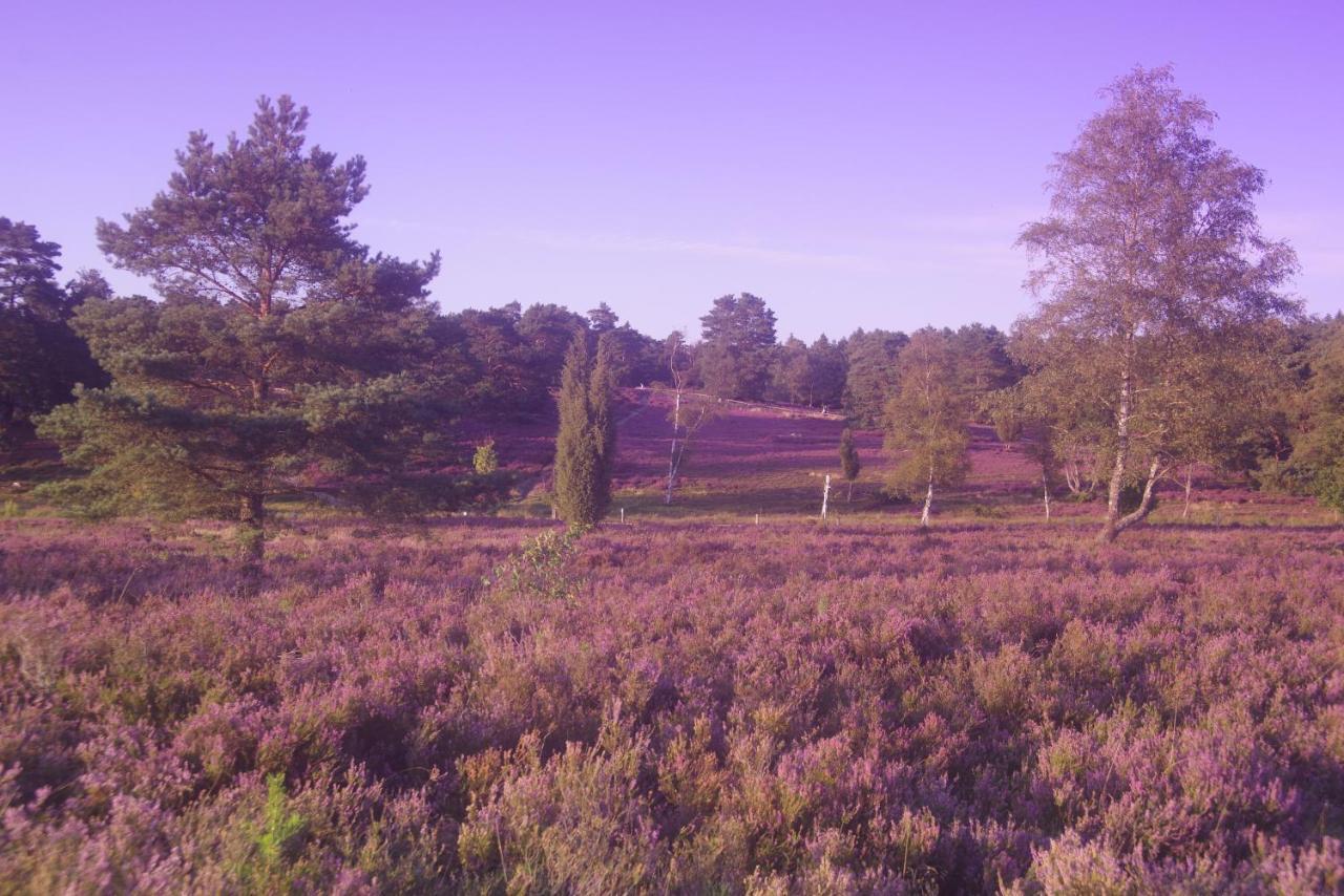 Ferienwohnung Schuur - Buchholz In Der Nordheide Buitenkant foto