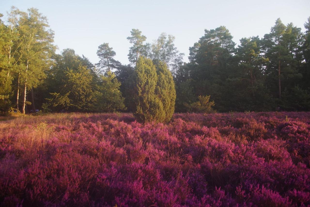 Ferienwohnung Schuur - Buchholz In Der Nordheide Buitenkant foto